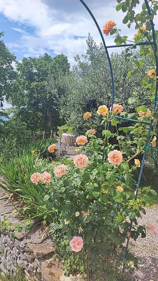Amazing Studio Casa Fermeglia With Private Jacuzzie And Perfect Panoramic View Roc